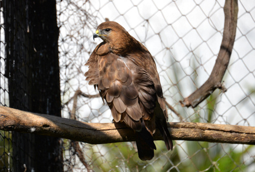 World of Birds Wildlife Sanctuary.